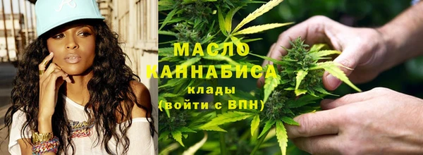 хмурый Арсеньев